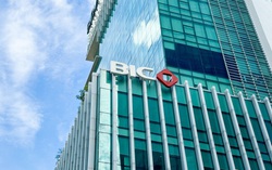 BIC lọt Top 50 công ty niêm yết tốt nhất do Forbes Việt Nam bình chọn