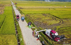 Điện Biên: Tập trung nguồn lực phát triển hạ tầng nông nghiệp, nông thôn