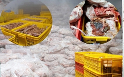 Cận cảnh kho chứa hàng chục tấn thịt bẩn đội lốt "đặc sản vùng cao" tại Phú Thọ