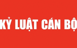 Thủ tướng quyết định thi hành kỷ luật 2 cán bộ