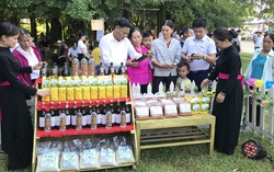 Tạo không gian thưởng trà, quảng bá sản phẩm đặc trưng của dân tộc thiểu số và miền núi ở Tân Trào