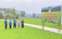 Lai Châu: Hướng dẫn hỗ trợ phát triển sản phẩm OCOP khi thực hiện chính quyền địa phương 2 cấp