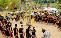 Phụ nữ tiên phong trong xây dựng Nông thôn mới