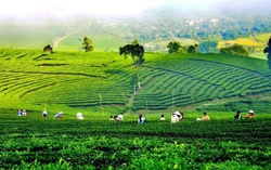 Phấn đấu đến năm 2030, toàn tỉnh Lai Châu có 10 xã đạt chuẩn Nông thôn mới