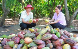 Ea Na gắn kết để phát triển nông thôn mới bền vững