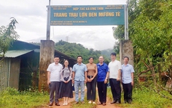 Khảo sát mô hình liên kết phát triển xây dựng nông thôn mới