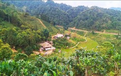 Quỹ hỗ trợ nông dân góp phần phát triển kinh tế nông thôn