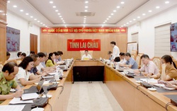 Lai Châu: Tăng cường chỉ đạo phát triển ngành nông nghiệp địa phương 