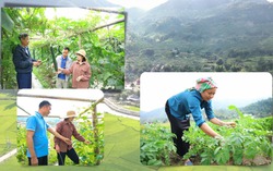 Xã Mường Kim phấn đấu thu nhập bình quân đầu người đạt 63 triệu đồng/năm