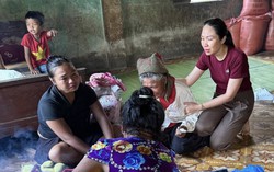 Bé gái 4 tuổi bị trâu húc tử vong