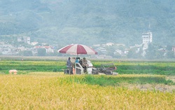 Xã Bình Lư đặt mục tiêu đến năm 2030 thu nhập bình quân đầu người từ 90-100 triệu đồng/năm