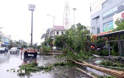 Bão số 5 làm 16 người thương vong, nhiều thiệt hại nghiêm trọng tại các địa phương