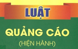 Kế hoạch triển khai thi hành Luật sửa đổi, bổ sung một số điều của Luật Quảng cáo