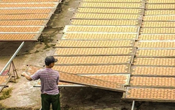 Gìn giữ danh thơm cho làng hương xạ thôn Cao