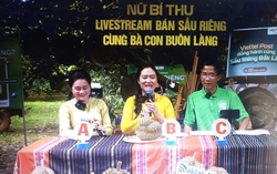 Nữ Bí thư xã livestream bán sầu riêng: Khi niềm tin được "chốt đơn"