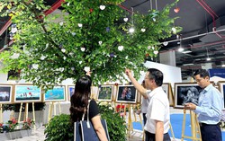 Gần 30 nghìn phần quà tặng khán giả tham quan Triển lãm ảnh và video "Việt Nam Hạnh phúc"