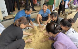 Phú Thọ: Nâng cao năng lực cho phụ nữ trong chăn nuôi tại hộ gia đình