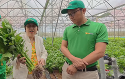 TPHCM: Tăng cường kiểm soát chuỗi thực phẩm an toàn từ vùng nguyên liệu