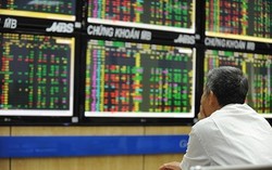 VN-Index "rung lắc" trên đường lên đỉnh 1.600 điểm