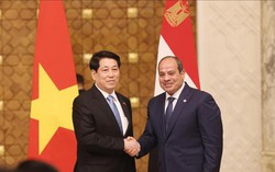 Nâng cấp quan hệ Việt Nam - Ai Cập lên Đối tác toàn diện