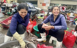Nét duyên chợ biển Cửa Lò