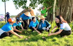 Chủ tịch Hà Nội: Đưa công tác vệ sinh môi trường vào tiêu chí xếp loại công chức
