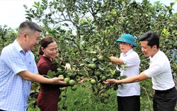 Hành trình "chuyển mình" ngoạn mục của xã biên giới