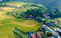 Phấn đấu "mục tiêu kép" xây dựng nông thôn mới gắn với giảm nghèo bền vững