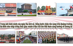 Đi trong ánh bình minh rạng ngời của Tổ quốc