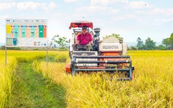 Khởi sắc ở vùng đồng bào dân tộc thiểu số Đông Nam tỉnh Lâm Đồng 