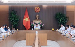 Tập trung nghiên cứu, hoàn thiện dự thảo Nghị quyết phát triển kinh tế Nhà nước