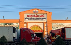 "Biến hóa" thu chi để trốn thuế gây thất thoát trên 11 tỷ đồng cho ngân sách Nhà nước