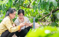 Thay đổi thói quen sản xuất truyền thống để có thu nhập ổn định