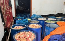 Gia Lai phát hiện cơ sở sản xuất lạp xưởng dùng nguyên liệu bốc mùi hôi thối