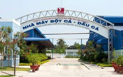 Cổ phiếu DAT của Trisedco tăng trần 6 phiên liên tiếp, hé lộ mối liên hệ với Tập đoàn Sao Mai