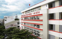 Sáp nhập trường đại học: Các trường sẽ bắt buộc thực thi theo kế hoạch