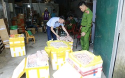 Phát hiện hàng ngàn sản phẩm đông lạnh không rõ nguồn gốc tại phường Trường Vinh