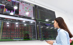 Chứng khoán tuần 22 - 26/9: Đề phòng trước rủi ro VN-Index "thủng" 1.600 điểm