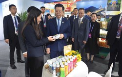 Sản phẩm từ sữa tươi sạch TH giành cúp "được yêu thích nhất" tại sự kiện lớn hàng đầu khu vực ASEAN - Trung Quốc