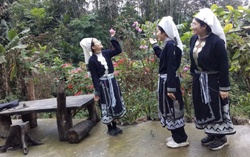 Người phụ nữ Dao Tiền biến gian khó thành cơ hội nơi non cao