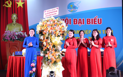 Phó Chủ tịch Thường trực Hội LHPN Việt Nam dự Đại hội phụ nữ điểm của tỉnh Đồng Nai