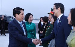 Chủ tịch nước kết thúc tốt đẹp chuyến tham dự Đại hội đồng Liên hợp quốc Khóa 80