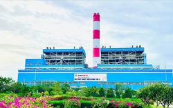 EVNGENCO3: Lợi nhuận tăng mạnh, nợ phải trả gấp 2,4 lần vốn chủ sở hữu