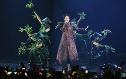 Khi người trẻ tìm về nguồn cội