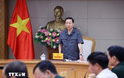 Đối phó bão số 10: Dừng toàn bộ hoạt động trên biển từ 17 giờ ngày 27/9