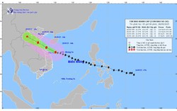 Bão Bualoi có khả năng mạnh thêm hướng về khu vực vùng biển Nghệ An-Quảng Trị