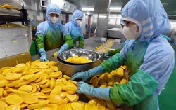 Ngày 1/10 Bộ trưởng Bộ Công Thương sẽ đối thoại trực tiếp với nông dân