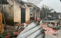 Bí thư Chi bộ thôn tử vong trong quá trình tham gia chống bão số 10