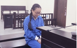 Chủ chuỗi hệ thống Nông nghiệp sạch lĩnh án tù chung thân vì lừa đảo