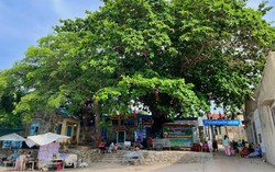 Khánh Hòa: Sẽ hỗ trợ người dân Bích Đầm làm du lịch cộng đồng sau phản ánh của Báo Phụ nữ Việt Nam